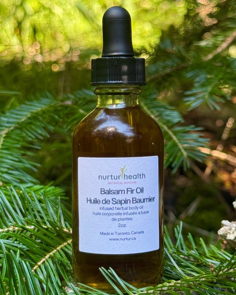 Bottle of balsam fir infused oil against fir branches
