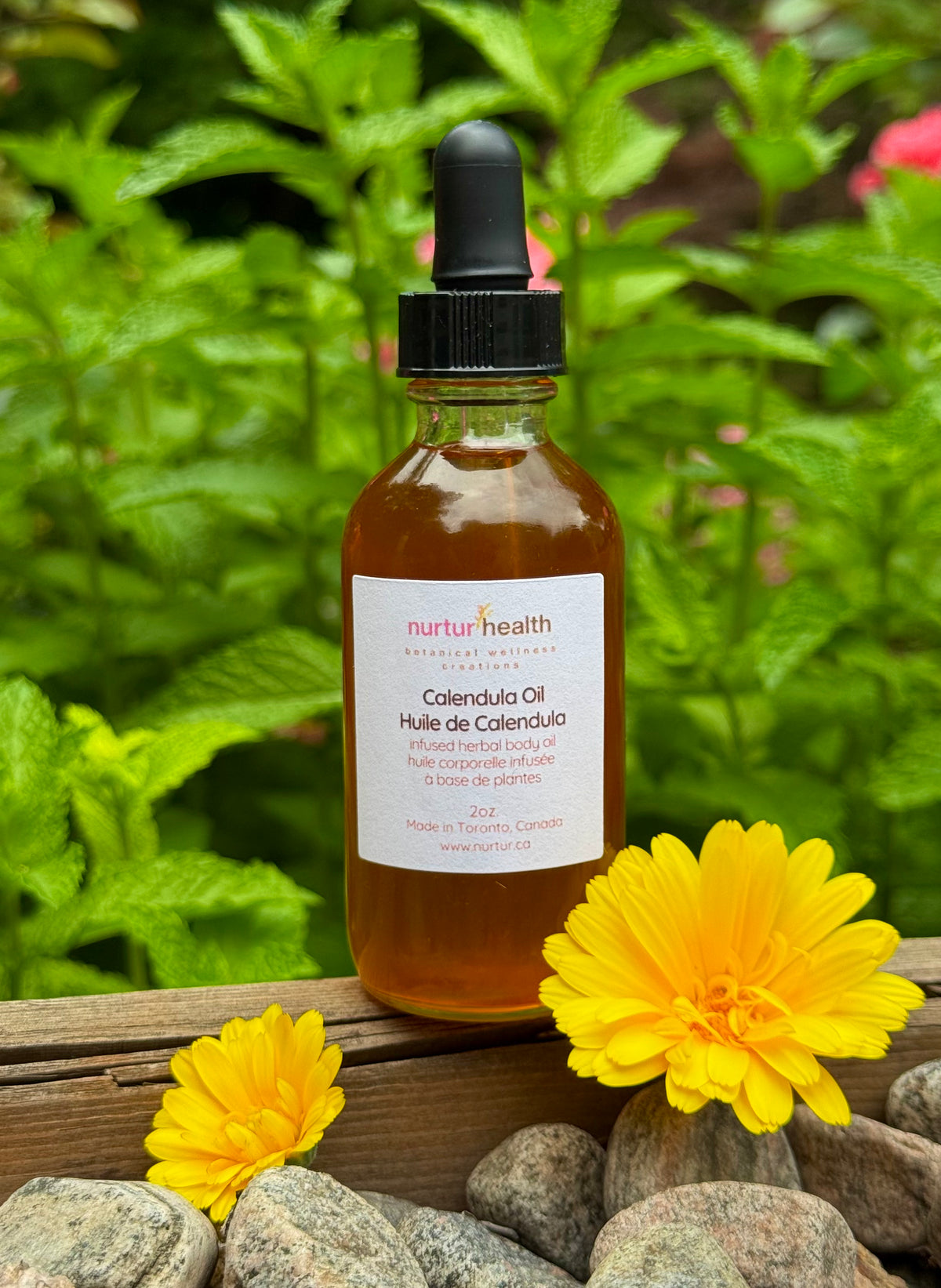 Bottle of calendula infused jojoba oil