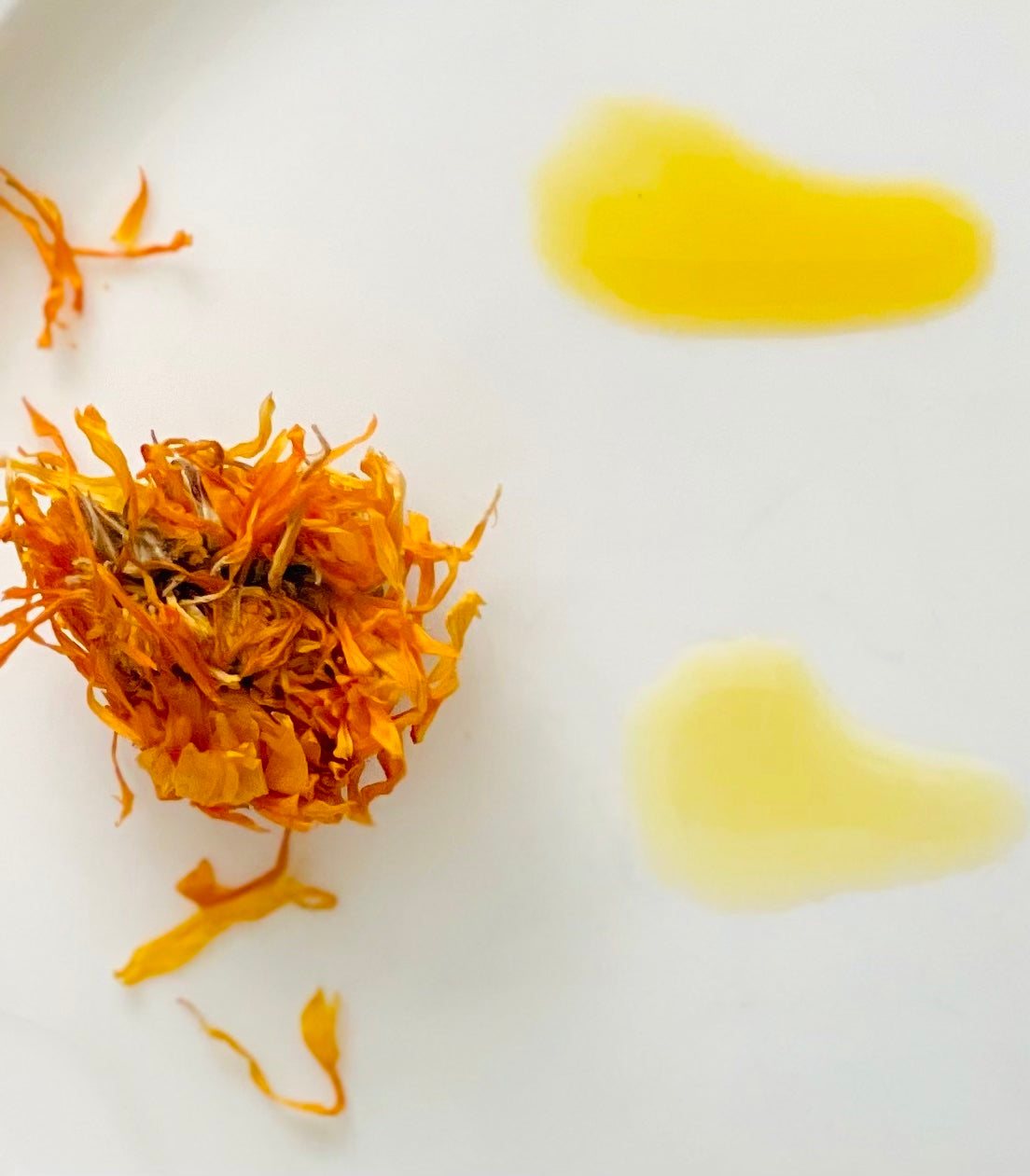 Replenish Face Serum Oil with Elderflower and Calendula