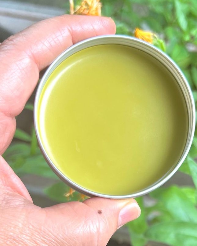 Dog Paw Protector Salve