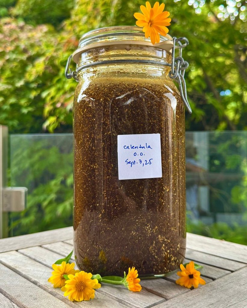 Calendula Herbal Oil