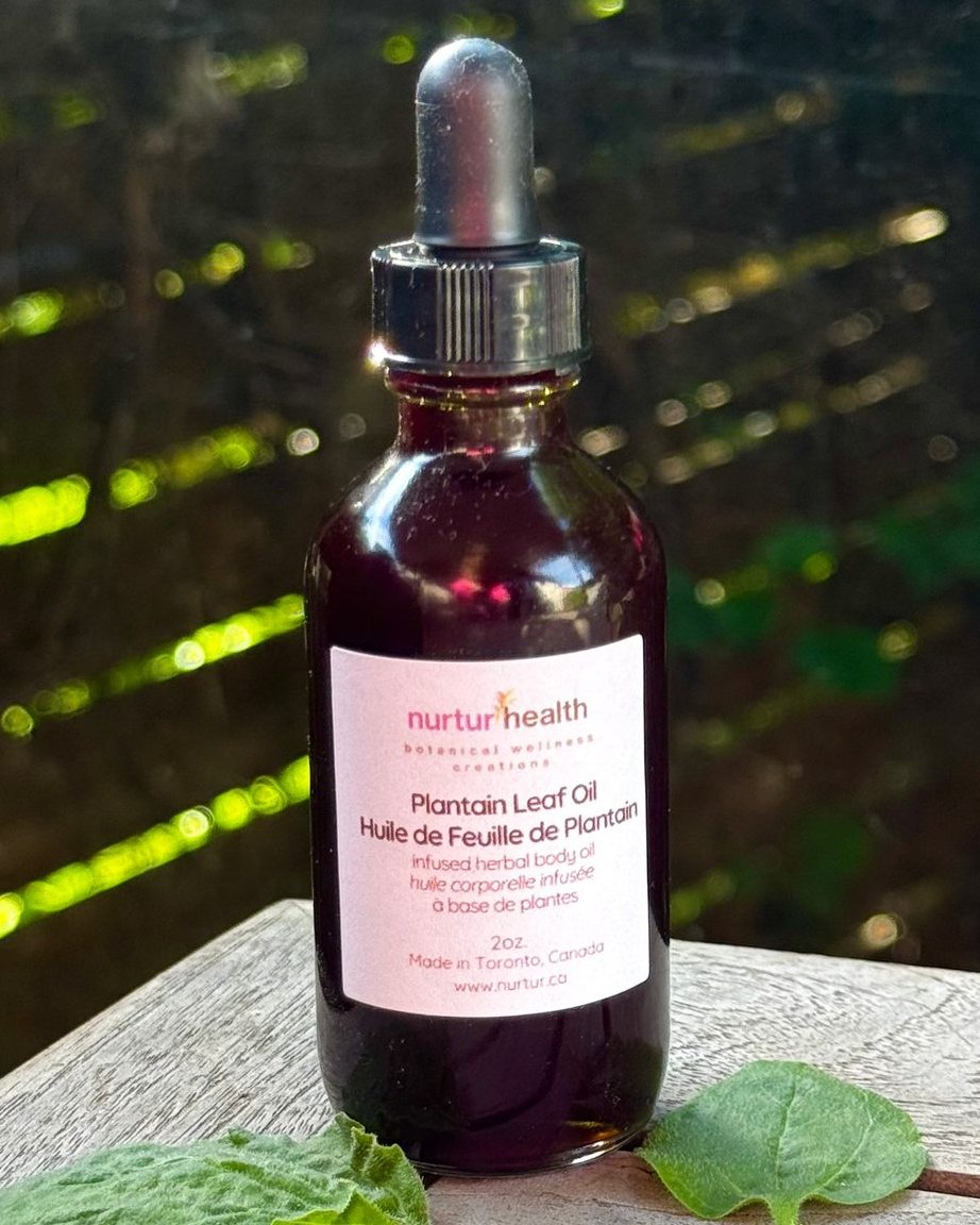 Bottle of plantain leaf infused oil