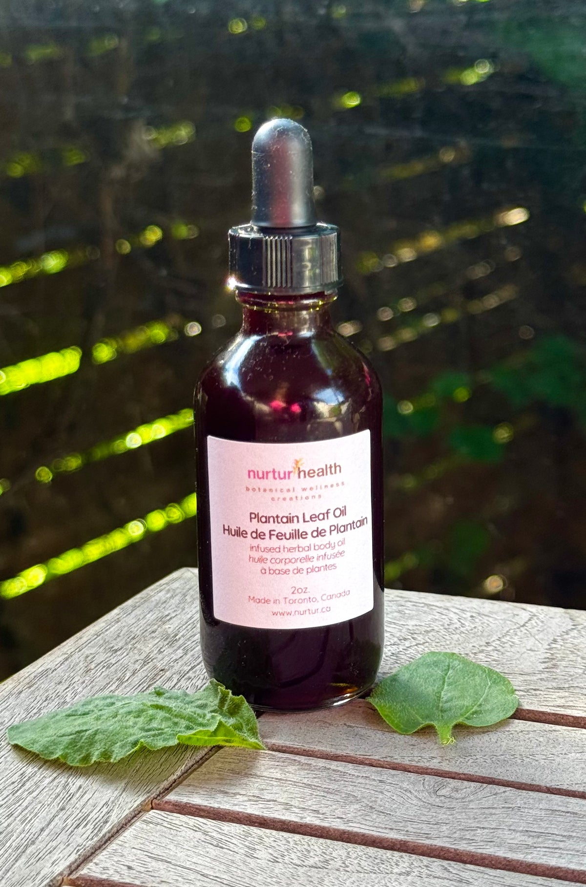 Bottle of plantain leaf infused oil