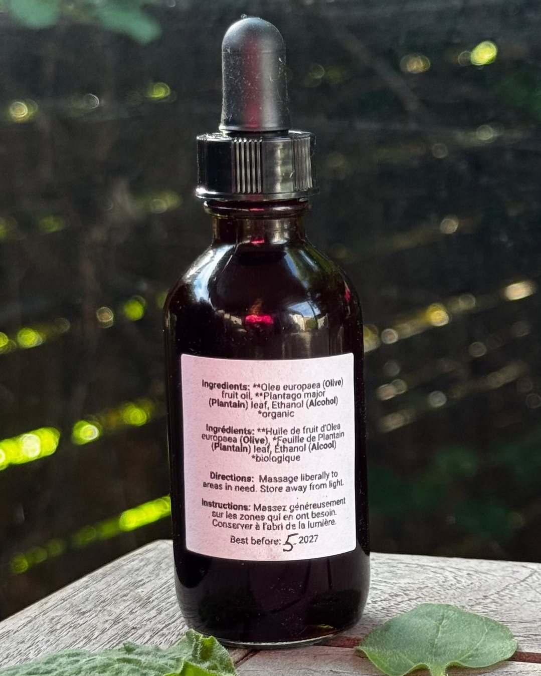 Plantain Leaf Herbal Oil
