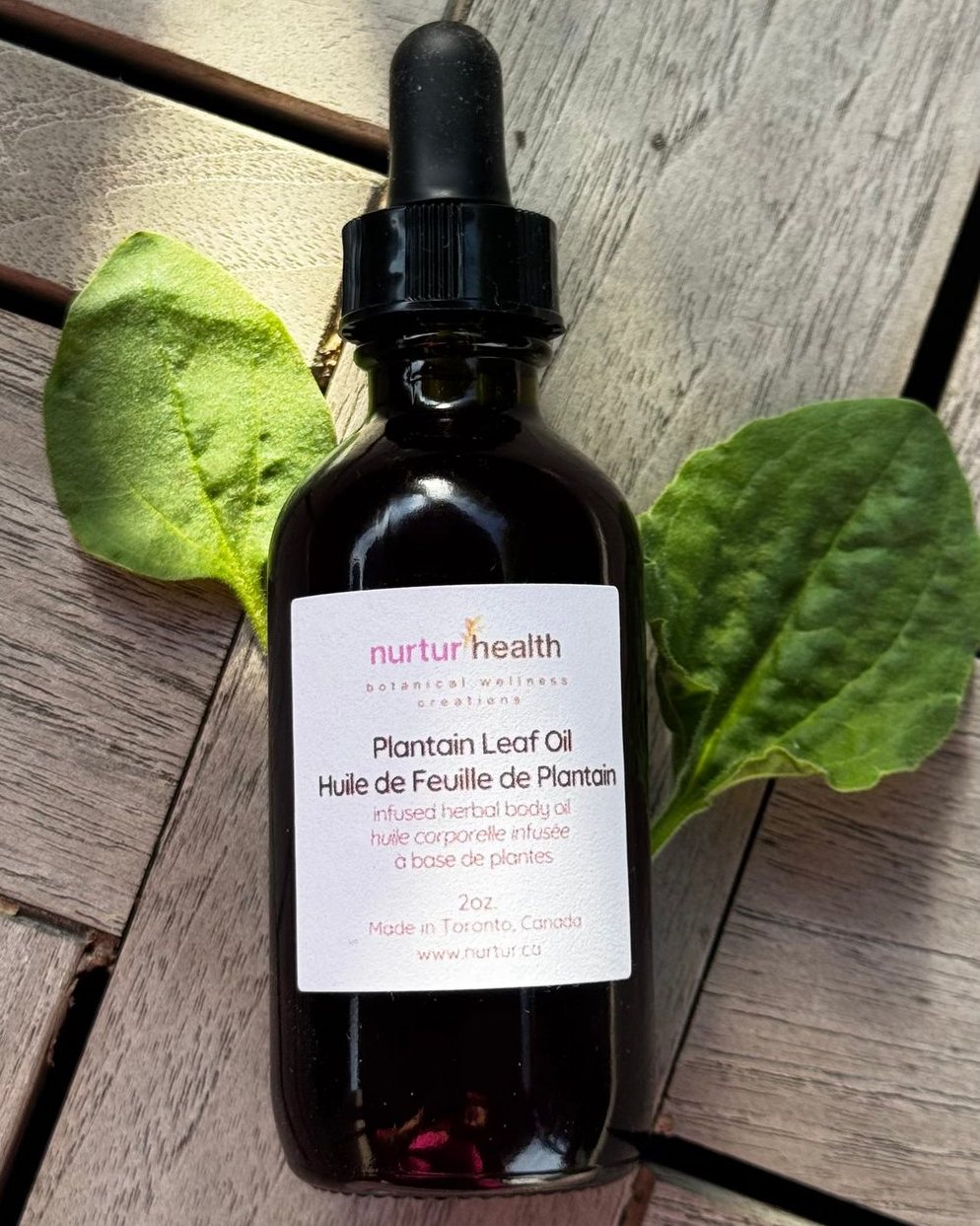 Plantain Leaf Herbal Oil