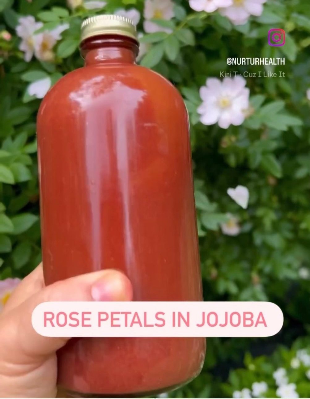 Rose Herbal Oil
