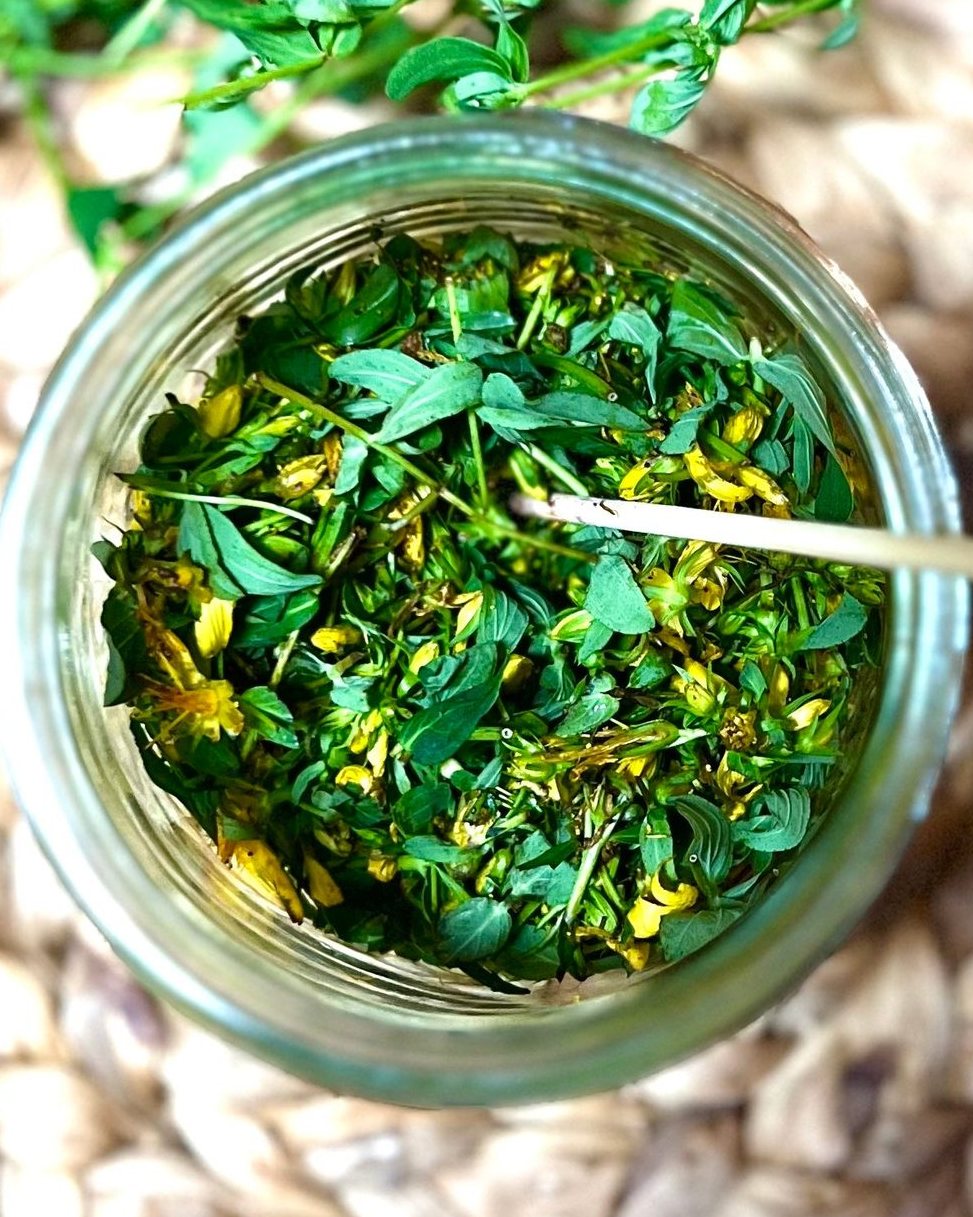 St. John's Wort Salve