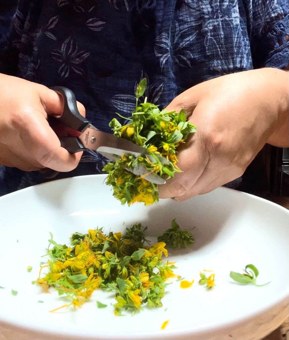 St. John's Wort Salve